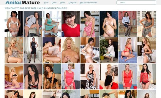 Anilos Mature Review and Similar Porn Sites- The Mr Porn